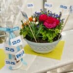 Vogt 25 Jahre Bild 374